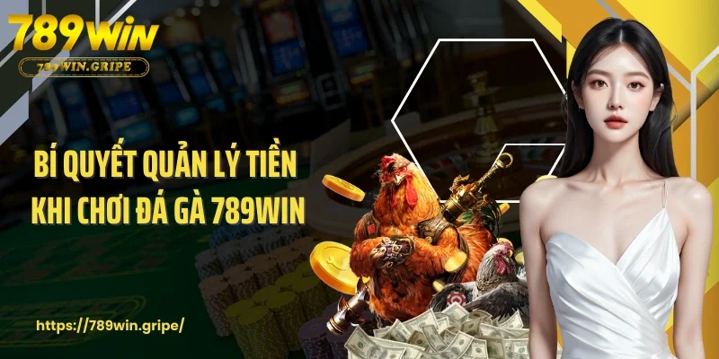 Bí Quyết Quản Lý Tiền Khi Chơi Đá Gà 789Win Để Thắng Dài Hạn