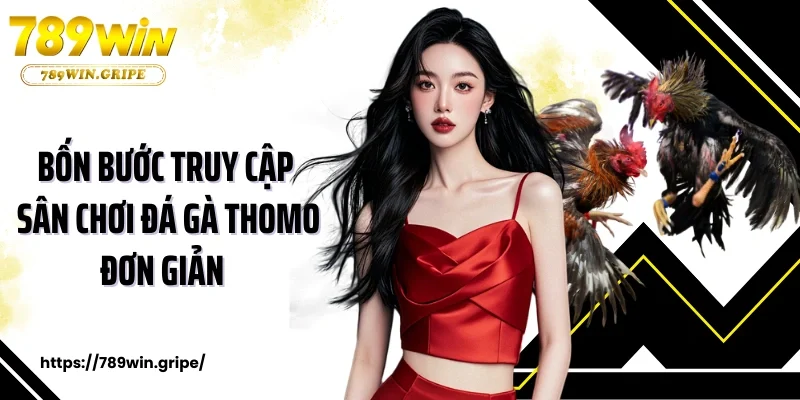 Đá Gà Thomo Trực Tiếp Từ Các Trường Gà Số 1 Thế Giới  3 Bốn bước truy cập sân chơi đá gà thomo đơn giản