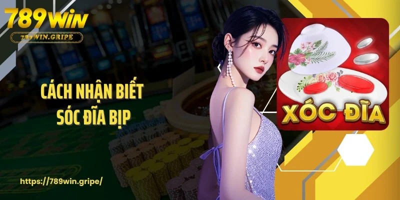Cách Nhận Biết Sóc Đĩa Bịp - Bỏ Túi Mẹo Tránh Bẫy Tinh Vi
