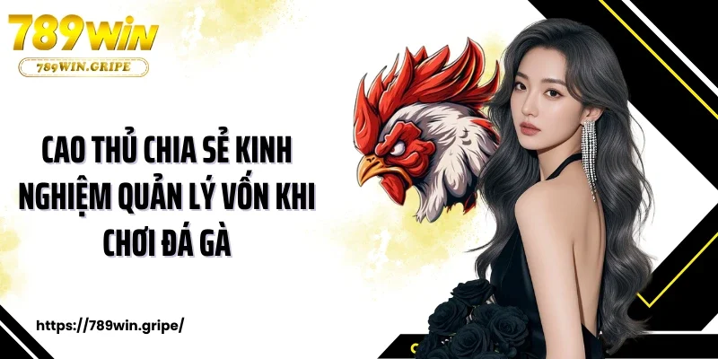 Cao thủ chia sẻ kinh nghiệm quản lý vốn khi chơi đá gà