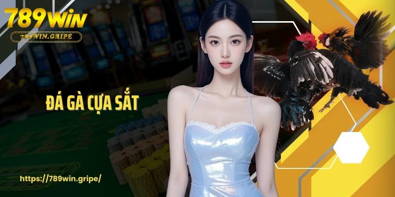 Đá Gà Cựa Sắt Đem Lại Những Trận Chiến Nảy Lửa Và Gay Cấn
