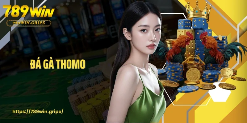 Đá Gà Thomo Trực Tiếp Từ Các Trường Gà Số 1 Thế Giới 
