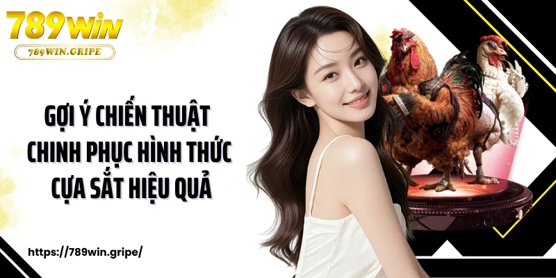 Gợi ý chiến thuật chinh phục hình thức cựa sắt hiệu quả