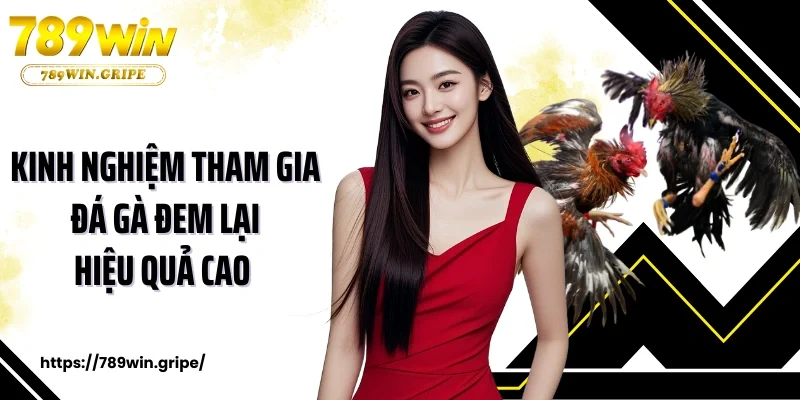 Đá Gà Thomo Trực Tiếp Từ Các Trường Gà Số 1 Thế Giới  4 Kinh nghiệm tham gia sân chơi đem lại hiệu quả cao