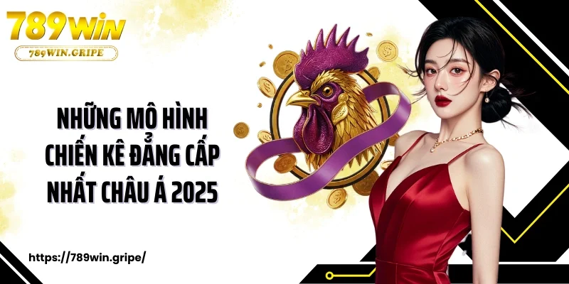 Những mô hình chiến kê đẳng cấp nhất châu Á 2025