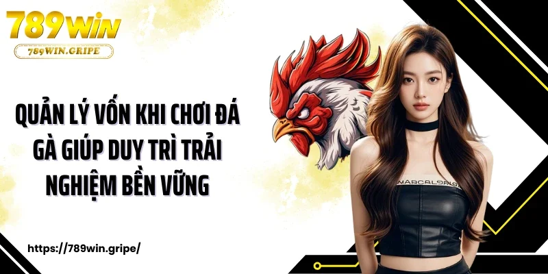 Quản lý vốn khi chơi đá gà giúp duy trì trải nghiệm bền vững