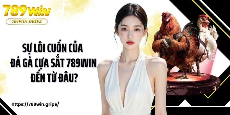 Sự lôi cuốn của đá gà cựa sắt 789Win đến từ đâu?