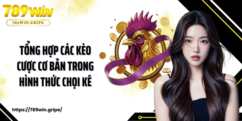 Tổng hợp các kèo cơ bản trong hình thức chọi kê 