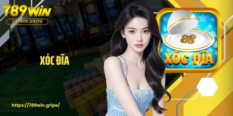 Xóc Đĩa 789Win - Chia Sẻ Bí Kíp Thắng Lớn Cho Bet Thủ
